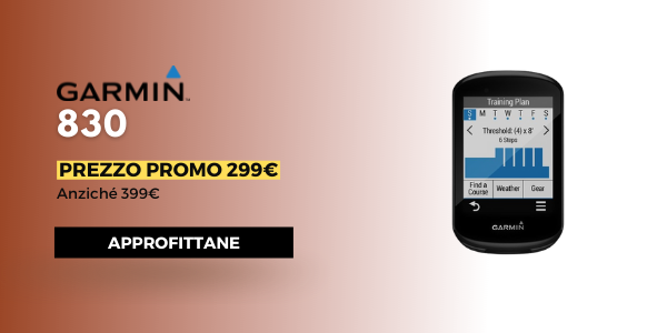 Garmin 830